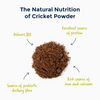 Cricket Powder - Organic